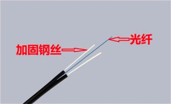 半岛bd体育手机客户端
