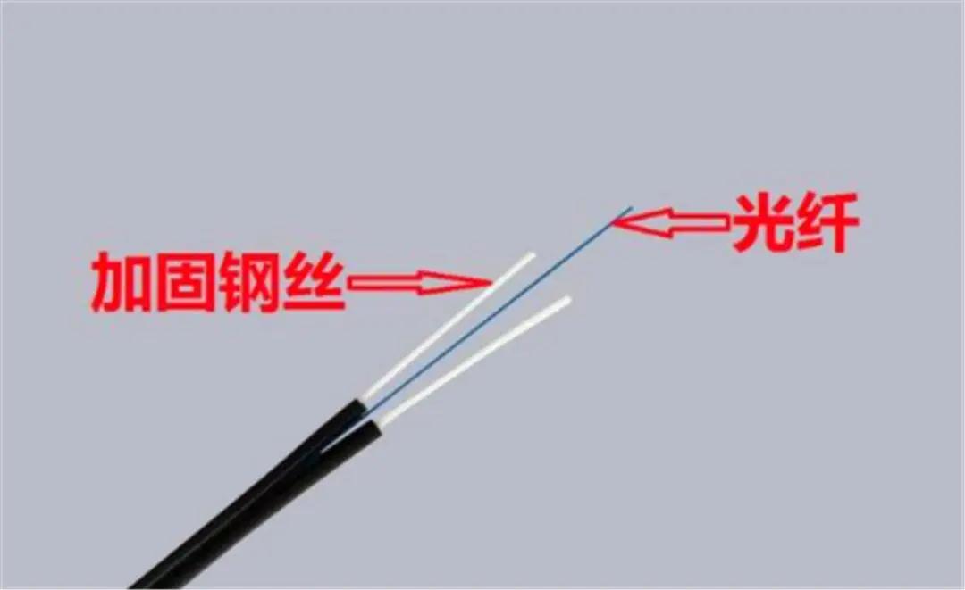 半岛bd体育手机客户端
