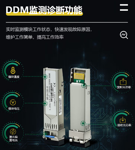 广州光桥